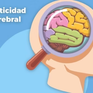 Plasticidad Cerebral